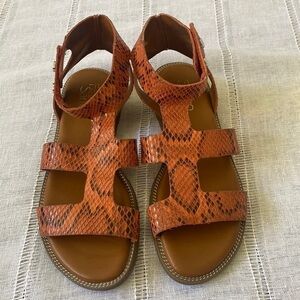 Franco Sarto gladiator faux snake skin sandals.